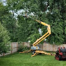 Best Hazardous Tree Removal  in Rexland Acres, CA